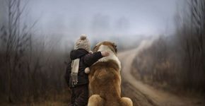 Fotógrafa capta imagens de seus filhos com animais na fazenda