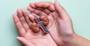 Doença renal atinge cerca de 1 em cada 10 brasileiros: veja mitos e verdades sobre o transplante de rim