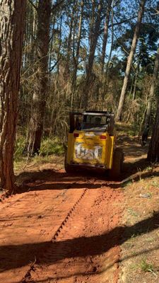 Obras do Terra dos Dinos começaram neste mês e inauguração está prevista para maio de 2026