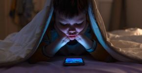 Foto: (iStock/Jelena Stanojkovic)