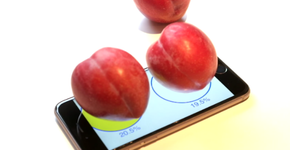 Programador transforma celular em balança de alimentos