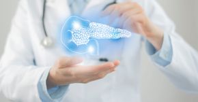 Foto: (iStock/mi-viri)