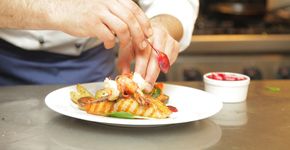 App traz receitas light para o seu dia