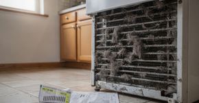 Como fazer a geladeira gelar mais e parar de gastar tanta luz