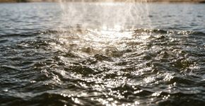 Um lago gigantesco no deserto do Egito perde 12 bilhões de metros cúbicos de água por ano: a evaporação supera o volume transportado pelo Rio Sena em Paris e ultrapassa a previsão de um tratado de 1959
