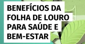 Benefícios da folha de louro para saúde e bem-estar
