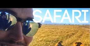 Como fazer um safári na África do Sul