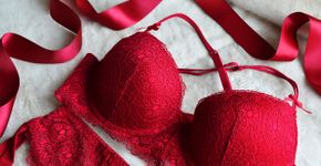 Foto: (Iryna_L/iStock)