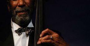 Conheça músicos estrangeiros apaixonados pelo samba