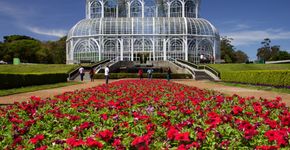 Foto: (VanessaBarcia/iStock)