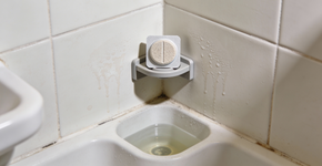Um comprimido deste produto e o banheiro não terá mofo. O apartamento não terá cheiro de mofo