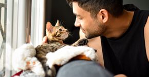 Foto: (Raphael Angeli/istock)
