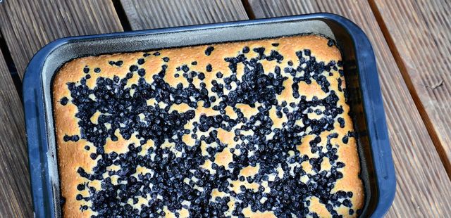 Torta de frango de liquidificador