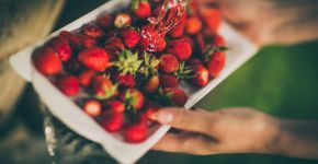 Dica para retirar o agrotóxico de frutas e verduras