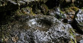 Filosofia chinesa: o poderoso provérbio ancestral onde a persistência silenciosa dobra quaisquer obstáculos