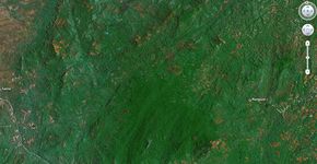 Floresta desconhecida em Moçambique foi descoberta pelo Google Earth