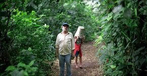 Assista “A Língua das Coisas”, curta metragem inspirado na obra de Manoel de Barros