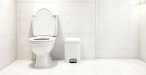 Demorei muito para entender por que o papel higiênico usado não deve ser jogado dentro do vaso sanitário