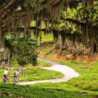 Featured mobile: Um roteiro de 330 km para explorar o Circuito das Frutas de bike