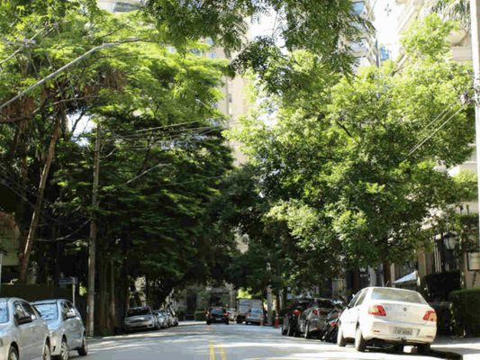 Rua 