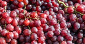 Foto: (iSTock/baona)