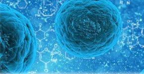 Células-tronco podem curar surdez genética, afirmam cientistas