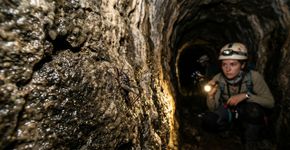 Pesquisadores que exploravam um túnel subterrâneo na Grécia encontraram uma nova espécie de grilo-das-cavernas e a batizaram de Dolichopoda balrogi, e o mais surpreendente é que a descoberta aconteceu em um túnel construído pelo homem, um lugar onde quase ninguém espera encontrar uma espécie totalmente nova.