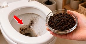 Jogar borra de café no vaso sanitário: descubra para que serve e por que esse truque é recomendado