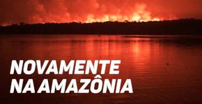 Alter do Chão sofre com incêndio de grandes proporções