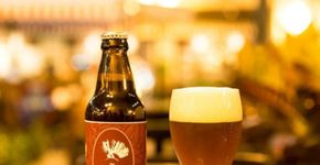 Curitiba recebe a 1ª Vegan Oktoberfest