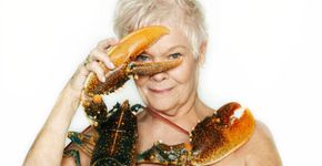 Aos 80, atriz Judy Dench tira a roupa pela vida marinha
