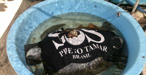 Foto: (Andrea Miramontes/ Lado B Viagem)