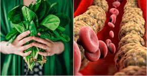 Foto: (knape/Naeblys/istock)