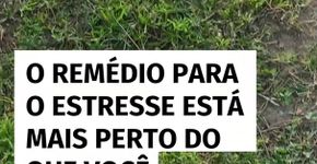 O remédio para o estresse está mais perto do que você imagina – e só leva 20 minutos por dia