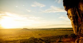 Foto: (FG Trade/iStock)