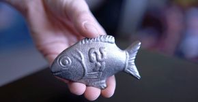 Peixe da sorte combate deficiência de ferro na alimentação