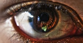 22 fotografias macro que revelam ricos detalhes de pequenos objetos