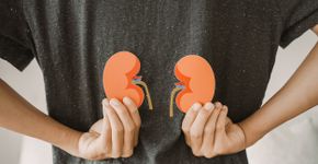 Foto: (SewcreamStudio/istock)