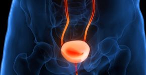 Foto: (iStock/magicmine)