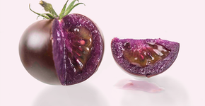 Foto: (divulgação/Norfolk Plant Sciences,)
