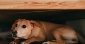 Foto: (iStock/miniseries)