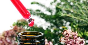 Descubra os diferentes tipos de florais para tratar sintomas psicológicos