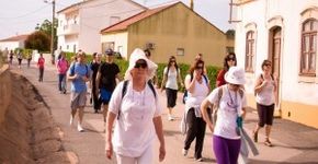 Caminhada – Clube Escola Cambuci