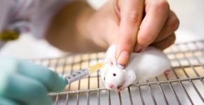 Foto: (vkovalcik/istock)