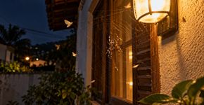 Se aranhas constroem teias perto de janelas e luminárias, a escolha do ponto costuma acompanhar o caminho dos insetos que circulam pelo ambiente