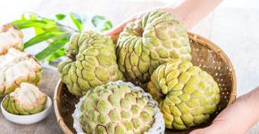 Fruta-do-conde: 8 benefícios para a saúde e formas fáceis de incluí-la na dieta