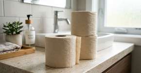 O papel higiênico está se tornando coisa do passado: o que será usado como substituto?