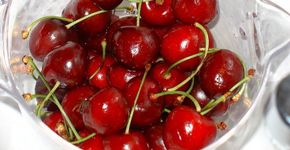 Romã, açaí e cereja: conheça sucos de frutas que deixam o corpo mais saudável