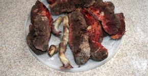 Prática de comer placenta pode ser extremamente benéfica para saúde