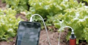 Sensor de umidade do solo poupa água e funciona com aplicativo